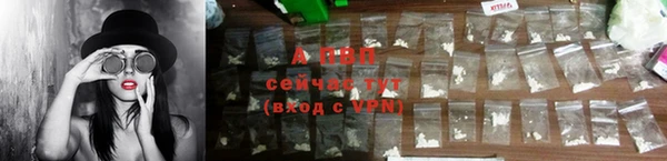 шишки Лиски