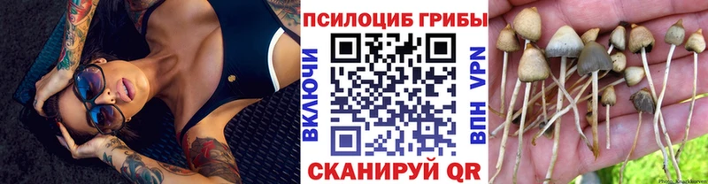 Галлюциногенные грибы MAGIC MUSHROOMS  Острогожск 