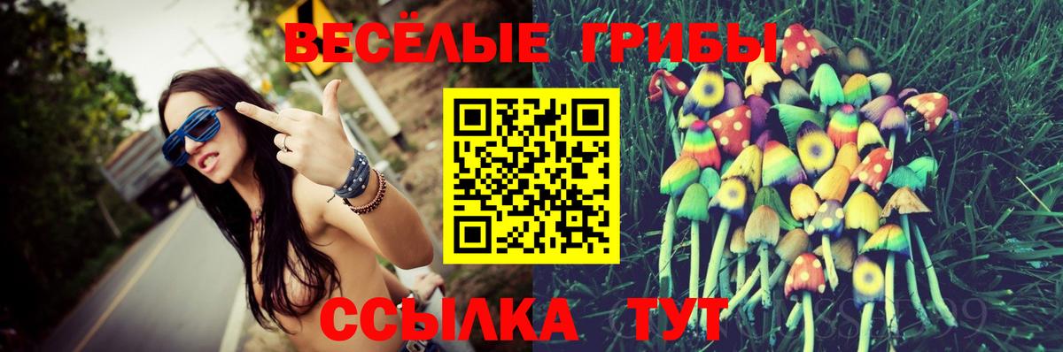 Псилоцибиновые грибы GOLDEN TEACHER Острогожск