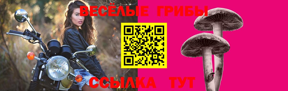 Острогожск  Галлюциногенные грибы Magic Shrooms  Вход с VPN 