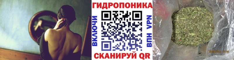 где найти   shop телеграм  Бошки марихуана семена  Острогожск 